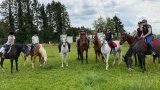Stages d'équitation