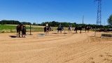 Stages d'équitation