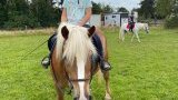 Stages d'équitation